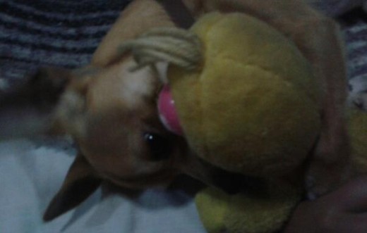 jugando segun el jugando segun el